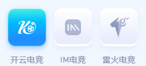开云电竞·(中国)官方网站